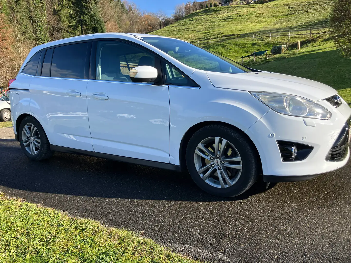 Ford Grand C-Max Grand C-MAX Titanium 2,0 TDCi DPF Titanium Weiß - 2