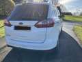 Ford Grand C-Max Grand C-MAX Titanium 2,0 TDCi DPF Titanium Weiß - thumbnail 14