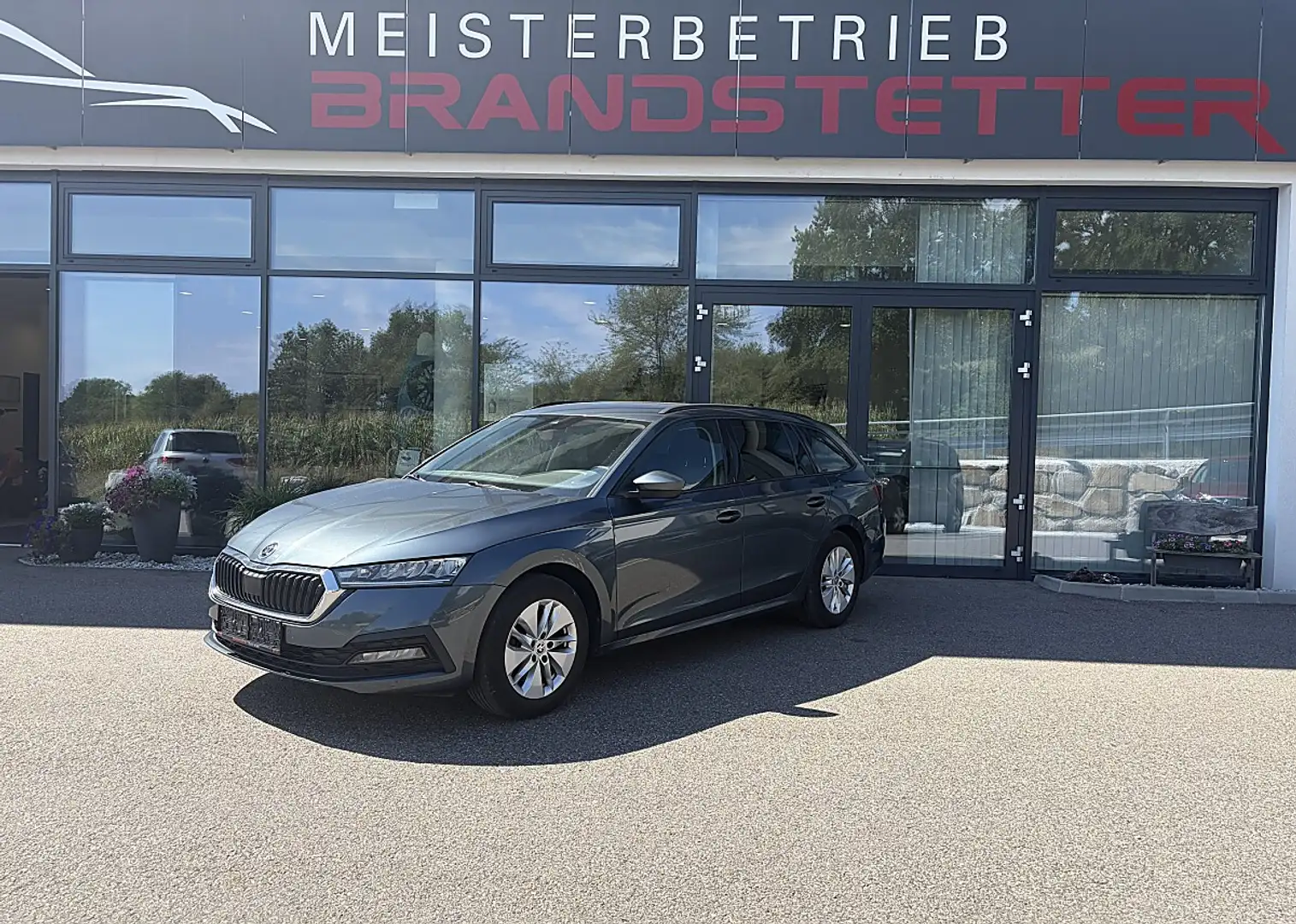 Skoda Octavia Kombi 2,0 TDI Selection DSG 4X4 Grau - 1