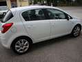 Opel Corsa Active-Service+Pickerl neu 06.2027 Weiß - thumbnail 10