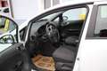 Opel Corsa Active-Service+Pickerl neu 06.2027 Weiß - thumbnail 13