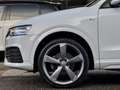 Audi Q3 1.4 TFSI AUT6 3xS-LINE SPORT PANODAK SPORT-LEDER N Blanc - thumbnail 13