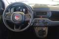 Fiat Panda 1.0 FireFly S&S Hybrid Giallo - thumbnail 12