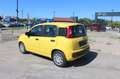 Fiat Panda 1.0 FireFly S&S Hybrid Giallo - thumbnail 4