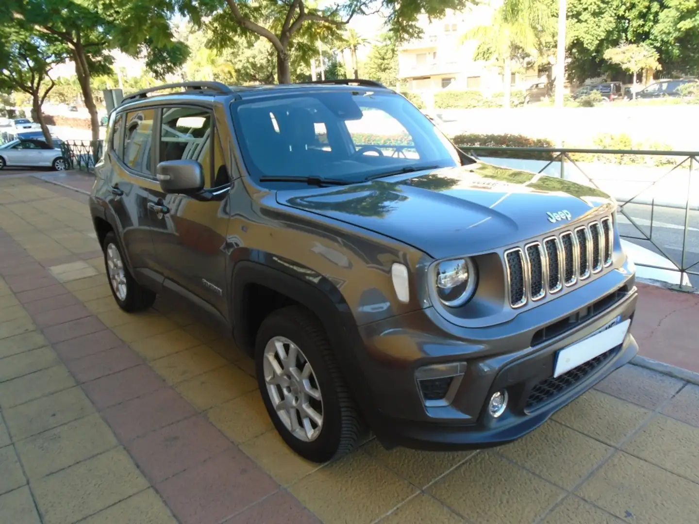 Jeep Renegade 2.0Mjt Limited 4x4 Gris - 2