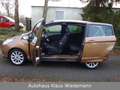 Ford B-Max 1.0 EcoBoost S/S Titanium - 2.Hd./48 TKM Braun - thumbnail 3