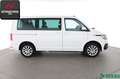 Volkswagen T6 Kombi T6.1 2.0 TDI 7 SITZE NAVI,ACC,KAMERA,SH White - thumbnail 6