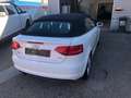 Audi A3 Cabriolet 1,2TFSI Comfort Edition #TOP ZUSTAND Blanc - thumbnail 6