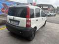 Fiat Palio 3p 1.2 60cv - thumbnail 7