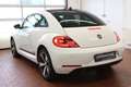 Volkswagen Beetle LED Tempomat PDC Beschreibung lesen Weiß - thumbnail 4