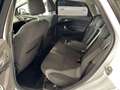 Ford Focus Lim. Titanium SR&WR Weiß - thumbnail 16