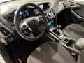 Ford Focus Lim. Titanium SR&WR Weiß - thumbnail 9