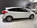 Ford Focus Lim. Titanium SR&WR Weiß - thumbnail 4