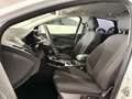 Ford Focus Lim. Titanium SR&WR Weiß - thumbnail 15