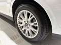 Ford Focus Lim. Titanium SR&WR Weiß - thumbnail 21
