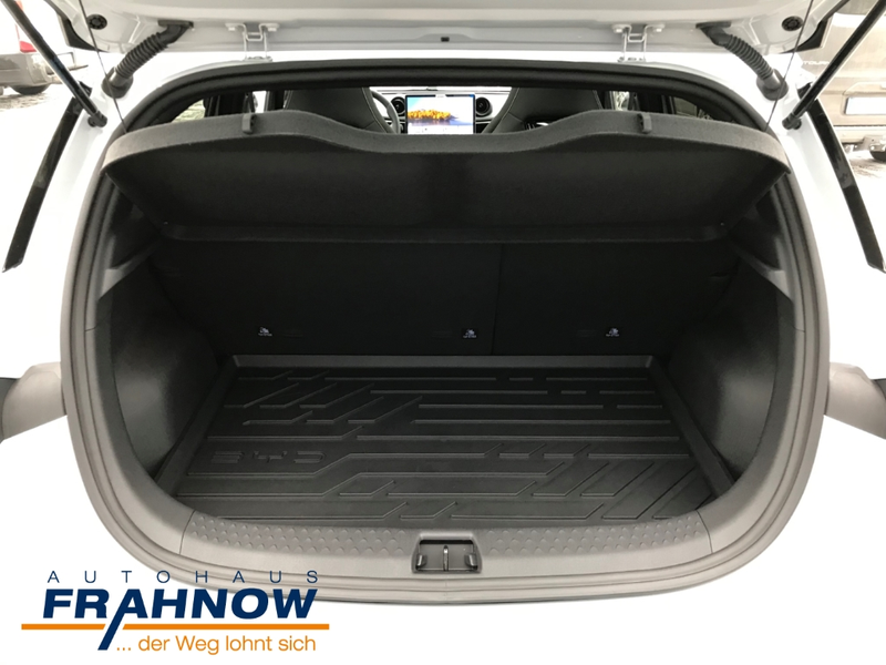 BYD Dolphin 150 kW Design LED ACC NAVI SHZ PANO — photo 11