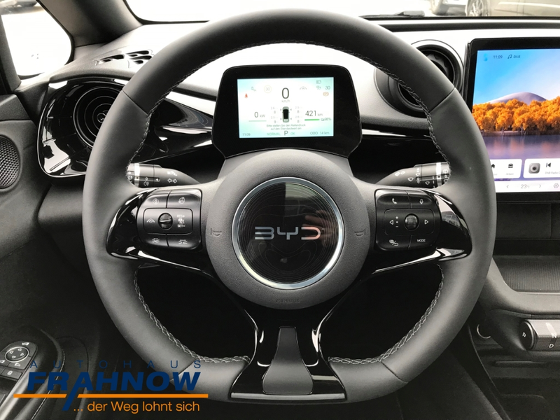 BYD Dolphin 150 kW Design LED ACC NAVI SHZ PANO — photo 13