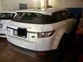 Land Rover Range Rover Evoque Range Rover Evoque I 2011 5p 2.2 td4 Pure 150cv Bianco - thumbnail 4