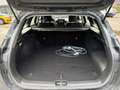 Kia Ceed SW / cee'd SW Sportswagon 1.6 GDI PHEV DynamicLine | ZUID | 140p Gris - thumbnail 10