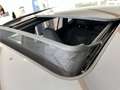 Volkswagen Tiguan Sport TDI 4MOTION DSG Grau - thumbnail 17