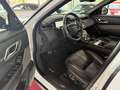 Land Rover Range Rover Velar R-Dynamic Black Weiß - thumbnail 12