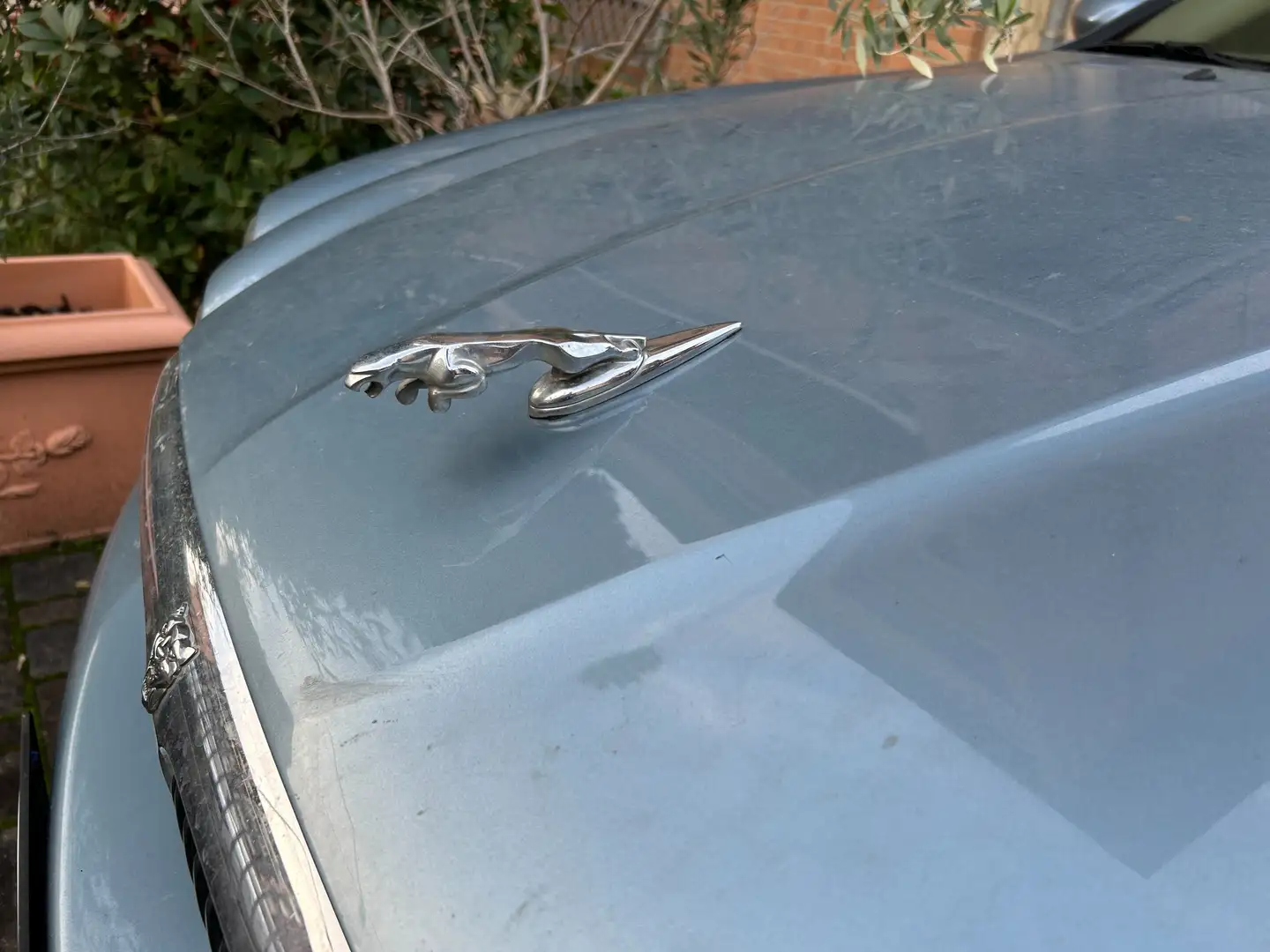 Jaguar X-Type X-Type 2.5 V6 Executive Blu/Azzurro - 1