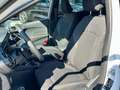 Ford Fiesta Titanium adaptiv LED Sicherheits-/Winter-Oaket Weiß - thumbnail 9