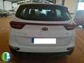 Kia Sportage 1.6 MHEV BUSINESS DCT 136CV 4X2 HIBRIDO Blanco - thumbnail 7