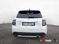 Fiat 600 IV 2023 1.2 hybrid La Prima 110cv auto Weiß - thumbnail 5