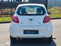 Ford Ka/Ka+ Trend*1.Hand*Klima* Alb - thumbnail 4