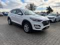 Hyundai TUCSON Trend +LED+Rückfahrkam.+PDC+Sitz.-&Lenkradheiz.+DA Weiß - thumbnail 5