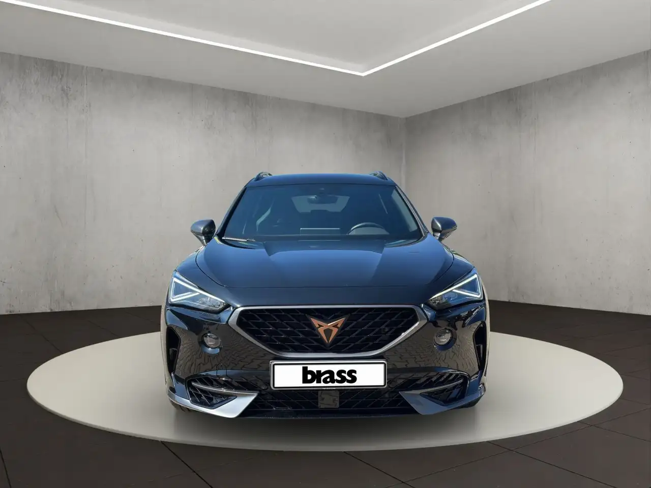 Cupra Formentor VZ 2.0 TSI 4Drive Full Link+Navi, Kame, миниатюра 8