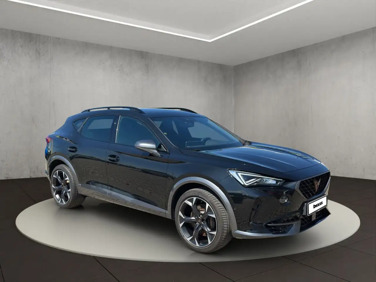 Cupra Formentor VZ 2.0 TSI 4Drive Full Link+Navi, Kame, миниатюра 7