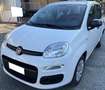 Fiat Panda 1.2 69cv BENZINA Bianco - thumbnail 1