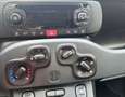 Fiat Panda 1.2 69cv BENZINA Bianco - thumbnail 9