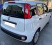 Fiat Panda 1.2 69cv BENZINA Bianco - thumbnail 3