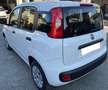 Fiat Panda 1.2 69cv BENZINA Bianco - thumbnail 4