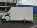Peugeot Boxer 435 L3 BHDI 103kW (140CV) S&S 6 Vel. MAN Blanco - thumbnail 3