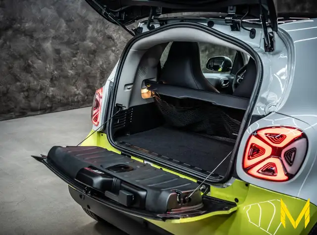 Smart Fortwo view 9