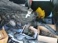 Renault Express 1.5 Blue dCi Confort 70kW Blanco - thumbnail 10