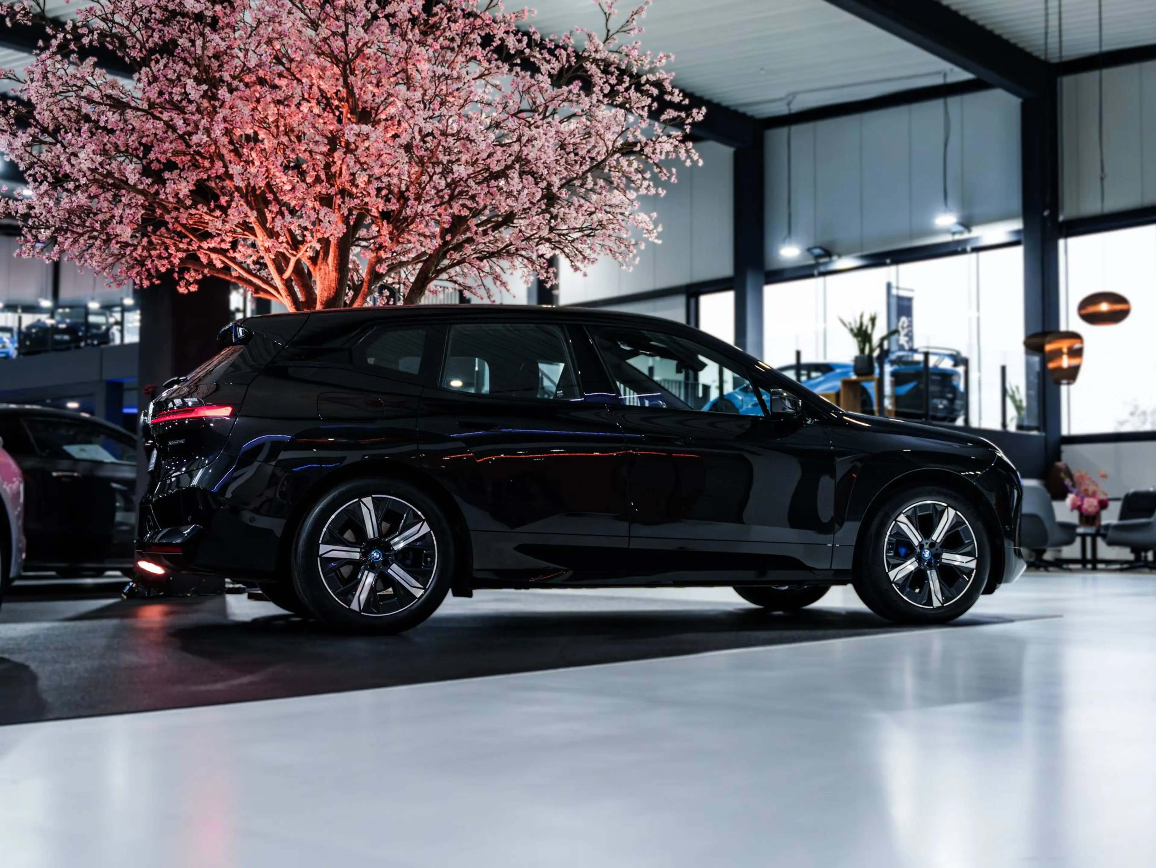 BMW iX xDrive40 - 21" - Driving Assist Pro - 360° - Trekhaak - Comfort Access - 4-Zone - Stoelverwarming — photo 8