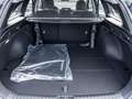 Kia Ceed SW / cee'd SW Ceed SW 1.5T DCT Vision Navi PDC Kamera SHZ Vert - thumbnail 6