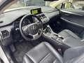 Lexus NX 300h AWD Luxury Line | Facelift, Panoramadak, Leer, Sto Blanc - thumbnail 14