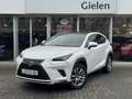 Lexus NX 300h AWD Luxury Line | Facelift, Panoramadak, Leer, Sto Blanc - thumbnail 1