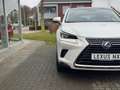 Lexus NX 300h AWD Luxury Line | Facelift, Panoramadak, Leer, Sto Blanc - thumbnail 7