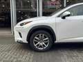Lexus NX 300h AWD Luxury Line | Facelift, Panoramadak, Leer, Sto Blanc - thumbnail 9