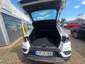 Renault Arkana TCe Mild Hybrid 140 EDC Techno 1A Zustand Weiß - thumbnail 13