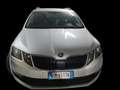 Skoda Octavia Wagon 1.6 tdi Executive 115cv dsg - thumbnail 3