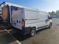 Fiat Ducato Furgone Ducato L 2 H 2 Bianco - thumbnail 8