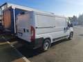 Fiat Ducato Furgone Ducato L 2 H 2 Bianco - thumbnail 6